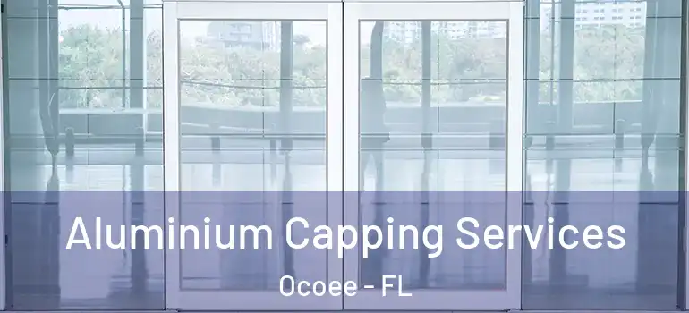  Aluminium Capping Services Ocoee - FL