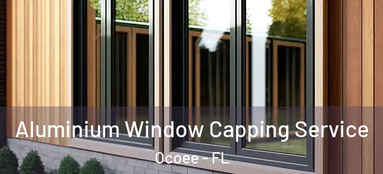  Aluminium Window Capping Service Ocoee - FL