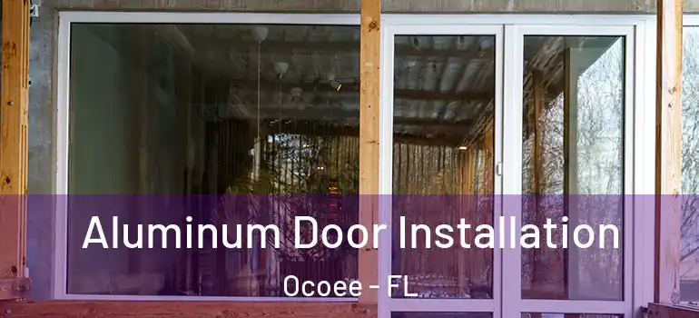 Aluminum Door Installation Ocoee - FL