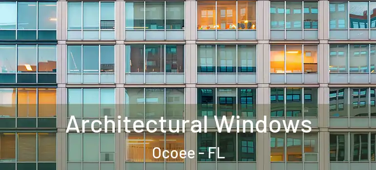  Architectural Windows Ocoee - FL