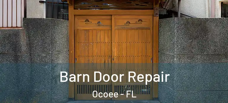  Barn Door Repair Ocoee - FL