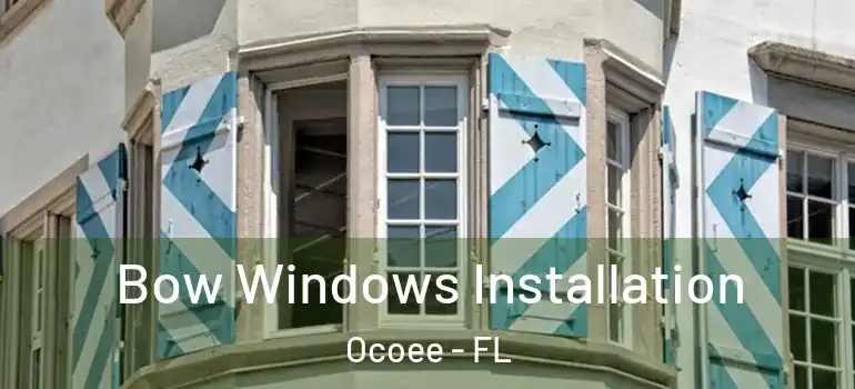  Bow Windows Installation Ocoee - FL