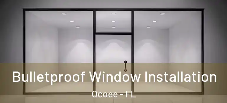  Bulletproof Window Installation Ocoee - FL