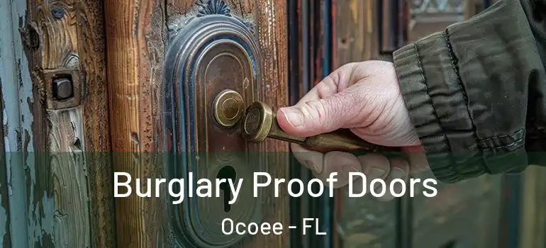  Burglary Proof Doors Ocoee - FL
