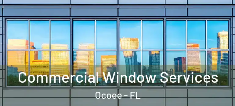  Commercial Window Services Ocoee - FL