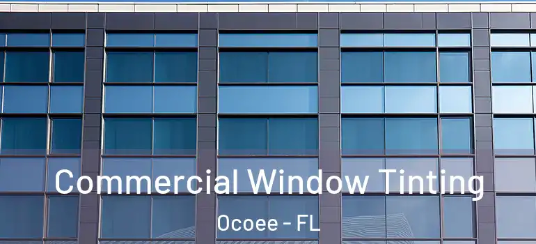  Commercial Window Tinting Ocoee - FL