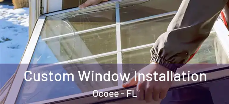  Custom Window Installation Ocoee - FL