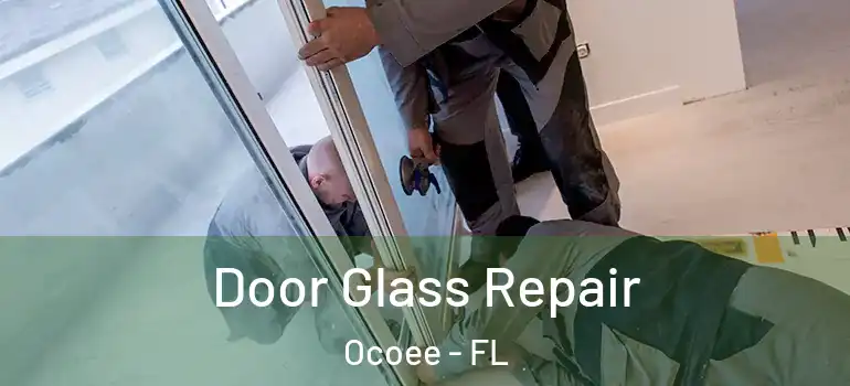  Door Glass Repair Ocoee - FL