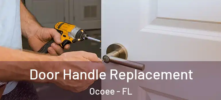  Door Handle Replacement Ocoee - FL