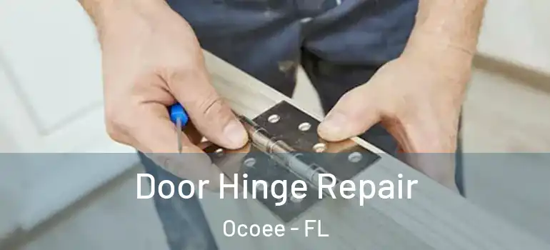  Door Hinge Repair Ocoee - FL