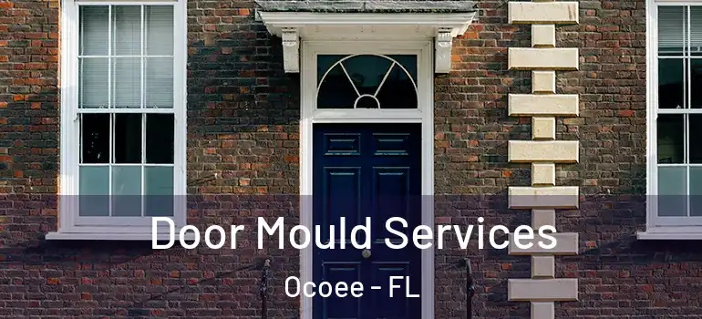  Door Mould Services Ocoee - FL
