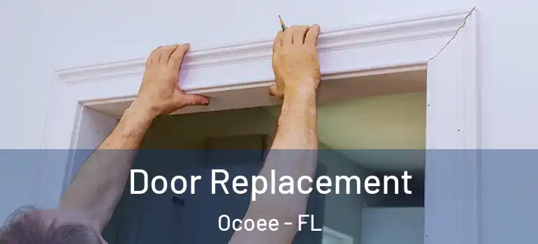  Door Replacement Ocoee - FL
