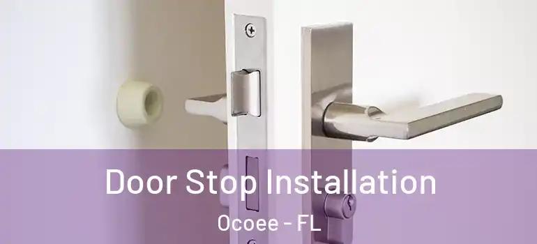  Door Stop Installation Ocoee - FL