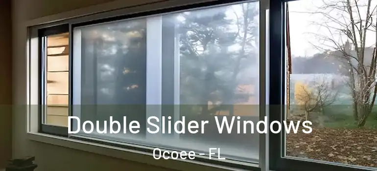  Double Slider Windows Ocoee - FL