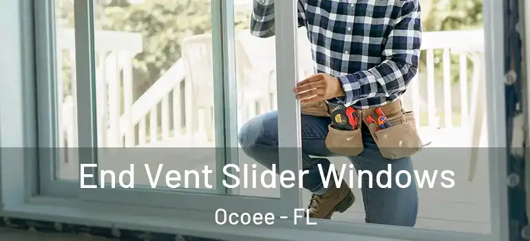  End Vent Slider Windows Ocoee - FL