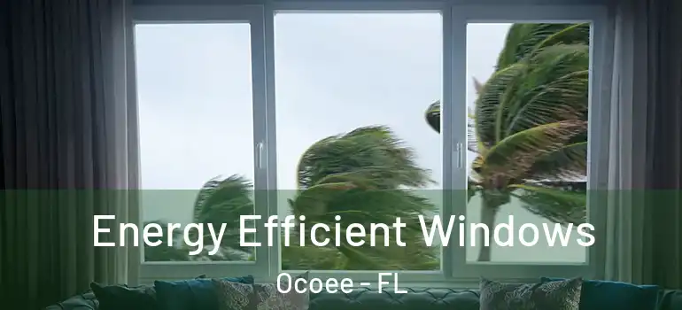  Energy Efficient Windows Ocoee - FL