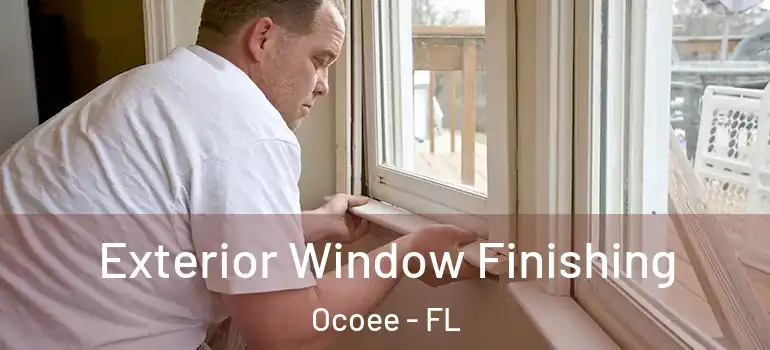  Exterior Window Finishing Ocoee - FL