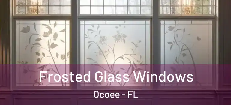  Frosted Glass Windows Ocoee - FL