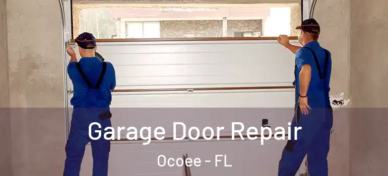  Garage Door Repair Ocoee - FL