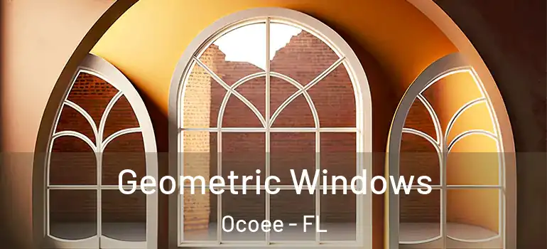  Geometric Windows Ocoee - FL