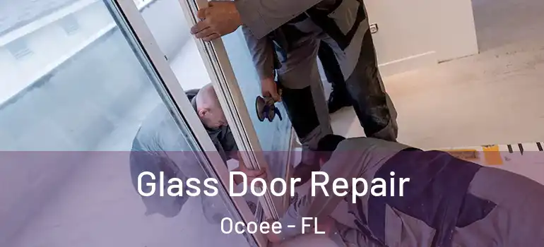  Glass Door Repair Ocoee - FL