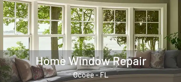  Home Window Repair Ocoee - FL