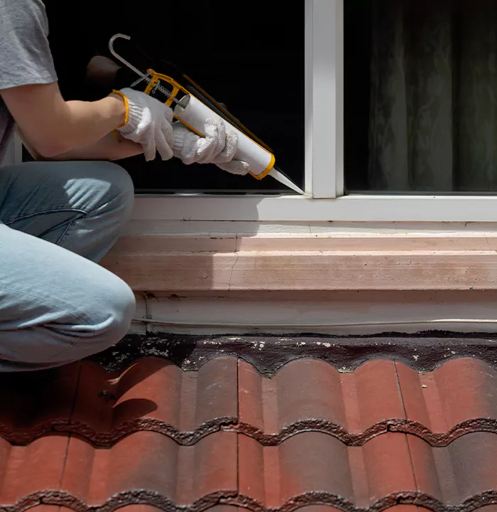 Roof Window Services in Ocoee, Florida