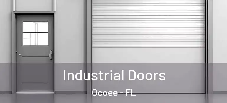  Industrial Doors Ocoee - FL