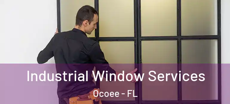  Industrial Window Services Ocoee - FL