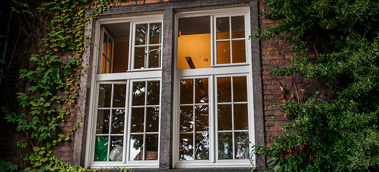 Energy Efficient Wood Windows in Ocoee, FL