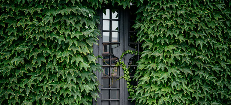 Garden Gate Repair in Ocoee, FL