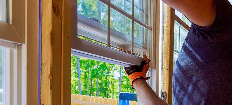 Decorative Window Film Services in Ocoee, FL
