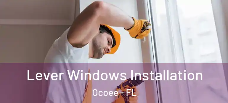  Lever Windows Installation Ocoee - FL
