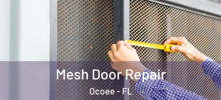  Mesh Door Repair Ocoee - FL