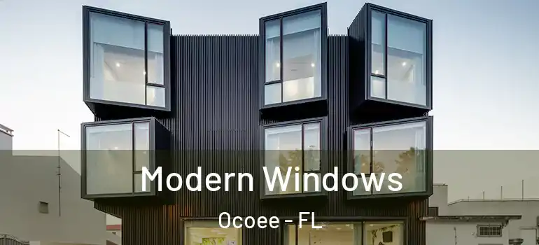  Modern Windows Ocoee - FL