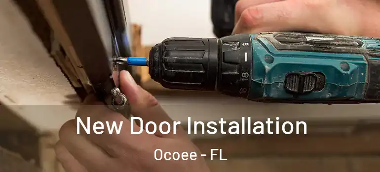 New Door Installation Ocoee - FL