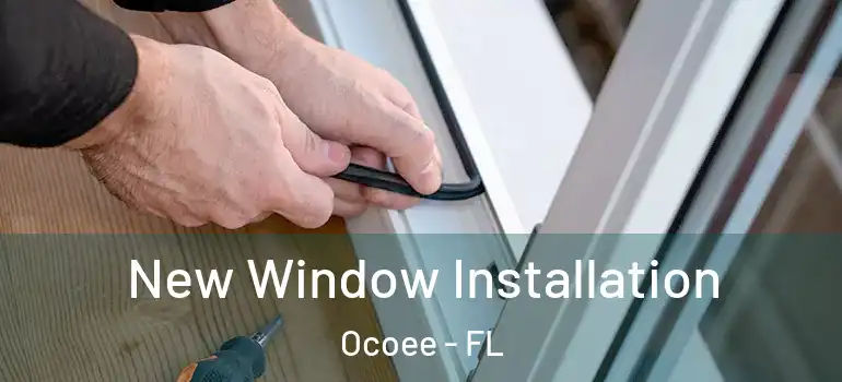  New Window Installation Ocoee - FL