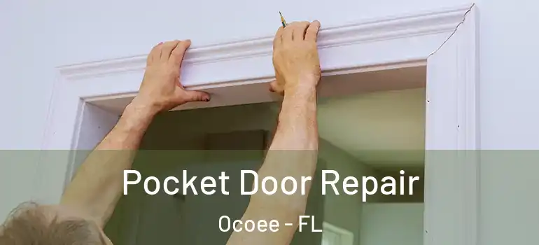  Pocket Door Repair Ocoee - FL