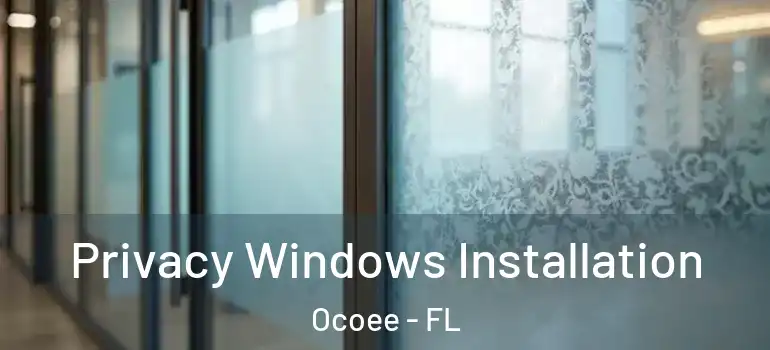 Privacy Windows Installation Ocoee - FL