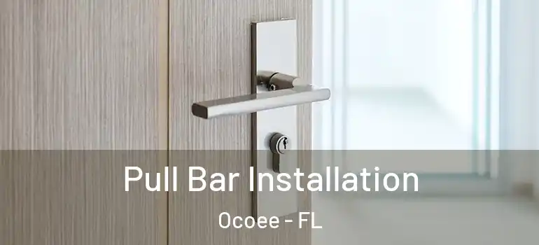  Pull Bar Installation Ocoee - FL