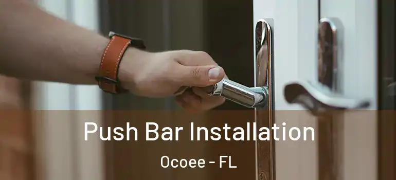  Push Bar Installation Ocoee - FL