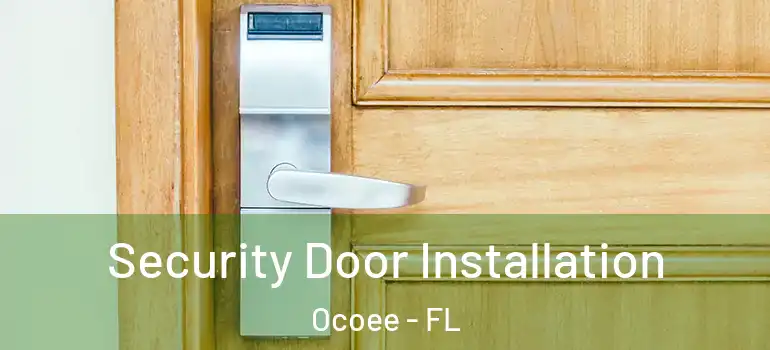  Security Door Installation Ocoee - FL