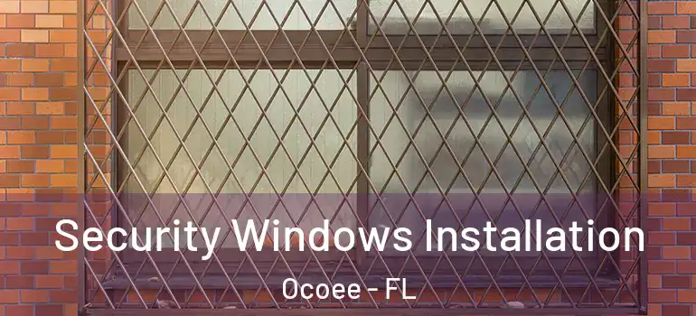  Security Windows Installation Ocoee - FL
