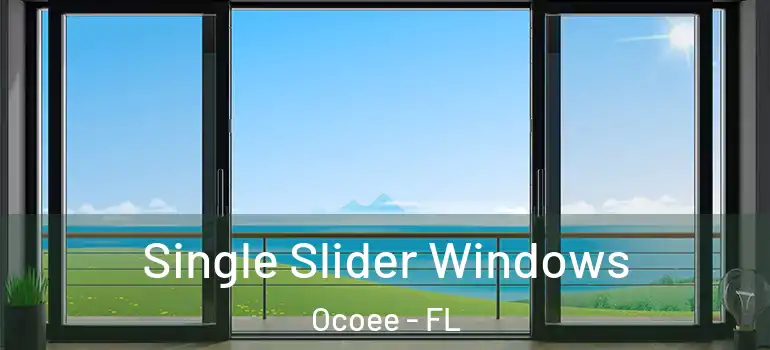  Single Slider Windows Ocoee - FL