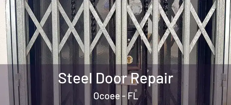  Steel Door Repair Ocoee - FL