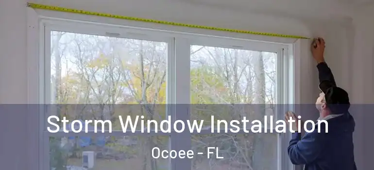  Storm Window Installation Ocoee - FL