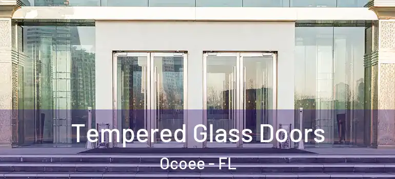  Tempered Glass Doors Ocoee - FL