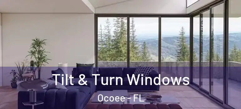  Tilt & Turn Windows Ocoee - FL