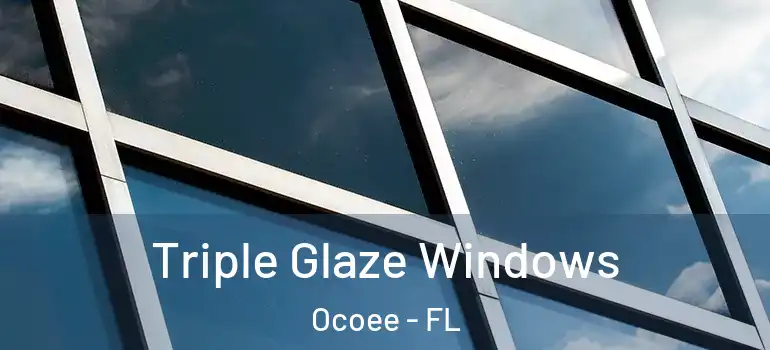  Triple Glaze Windows Ocoee - FL