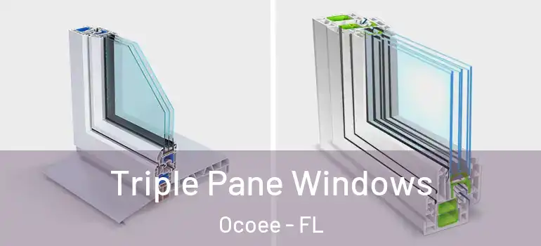  Triple Pane Windows Ocoee - FL